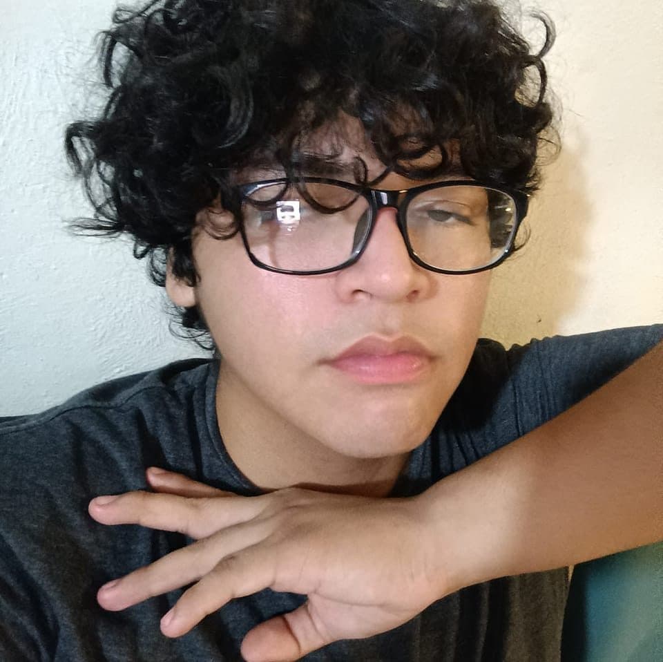 Perfil